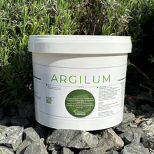 Charger l'image dans la galerie, ARGILUM — Soutien Digestif Naturel pour Chevaux à l'Argile Verte