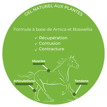 Charger l'image dans la galerie, TENDIMAX — Gel de Récupération Naturel pour Tendons & Muscles du Cheval