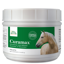 Charger l'image dans la galerie, Curamax™ — Curcumine Concentrée pour Chevaux — Santé articulaire
