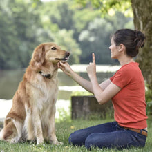 Charger l'image dans la galerie, Friandise naturelle pour chien et chat 100% Boeuf

