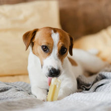 Charger l'image dans la galerie, Fromage Yaka'Mâcher pour chien

