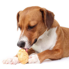 Charger l'image dans la galerie, Fromage "Cheezy Dog" soufflé pour chien
