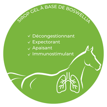 Charger l'image dans la galerie, RESPIRAMAX — Sirop Gel Respiratoire Naturel pour Chevaux
