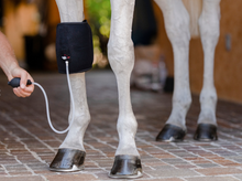 Charger l'image dans la galerie, EquiFit Genou - Thérapie de Compression Froide/Chaude
