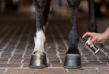 Charger l'image dans la galerie, Ag Silver Spray Nettoyant — Antimicrobien
